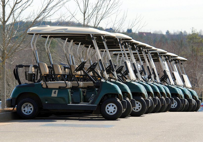 Renting a Golf Cart on Topsail: Rules and Tips