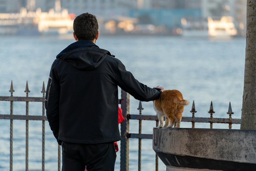 Pet-Friendly Vacation Rentals on Topsail Island: What to Know